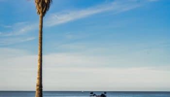 , Moto: FXLRST 🌴 Vendredi