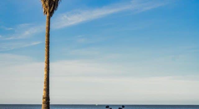 , Moto: FXLRST 🌴 Vendredi