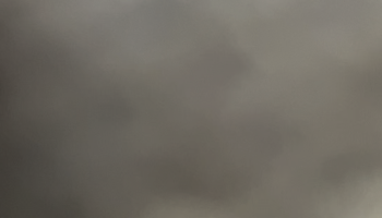 , Moto: 2001 sportster 883 en cours d’exécution