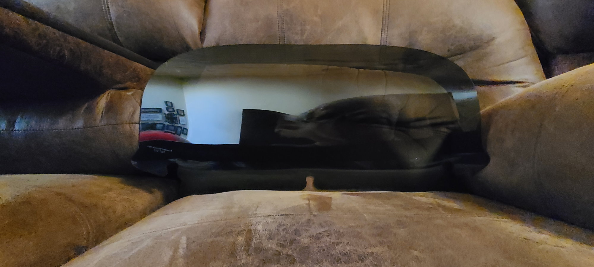 , Moto: Boucliers de libert&eacute; 10&Prime; pare-brise teint&eacute; 14+ chauve-souris