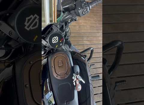 , Moto: Numéro de départ sportster s