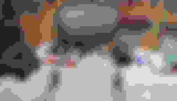 , Moto: Sissy Bar, dossier et support amovibles HD – État neuf pour les tournées actuelles