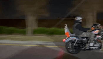 , Moto: Profiter du temps de Floride