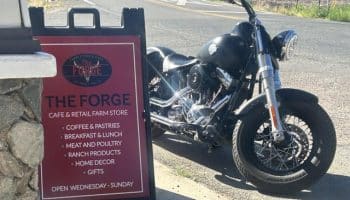 , Moto: Recommandations pour savoir où faire une chanson – Phoenix