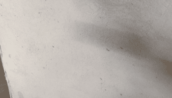 , Moto: Pourquoi mon FatBob ne peut-il pas démarrer ?