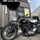, Moto: 1999 FXSTC