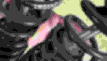 , Moto: Légendes révo a