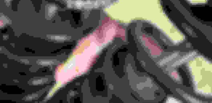 , Moto: Légendes révo a