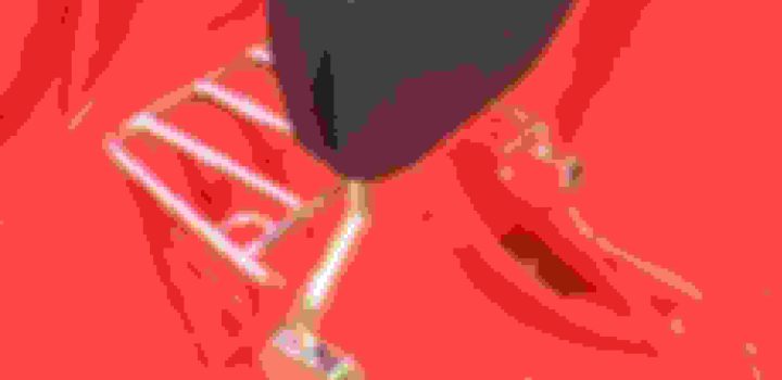 , Moto: Sissy bar HD avec porte-bagages.